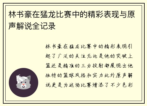 林书豪在猛龙比赛中的精彩表现与原声解说全记录