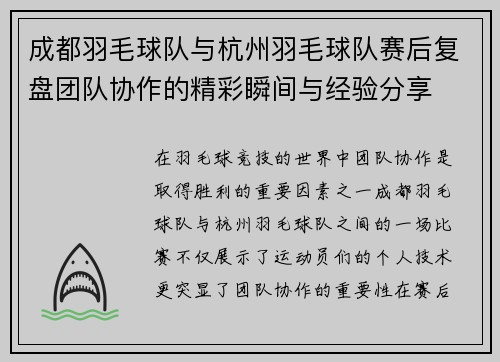 成都羽毛球队与杭州羽毛球队赛后复盘团队协作的精彩瞬间与经验分享