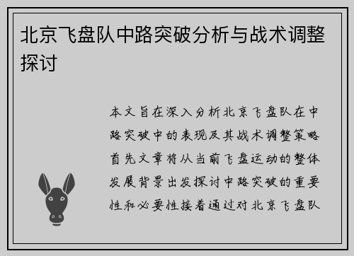 北京飞盘队中路突破分析与战术调整探讨